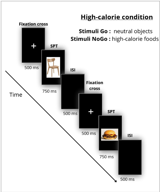 Go/NoGo : condition riche en calories
